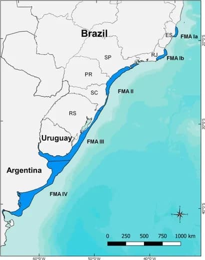 Map of the franciscana's Management Areas (FMA) across Brazil, Uruguay and Argentina