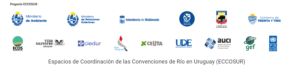 Actividades del proyecto Toninas Centinelas de la costa