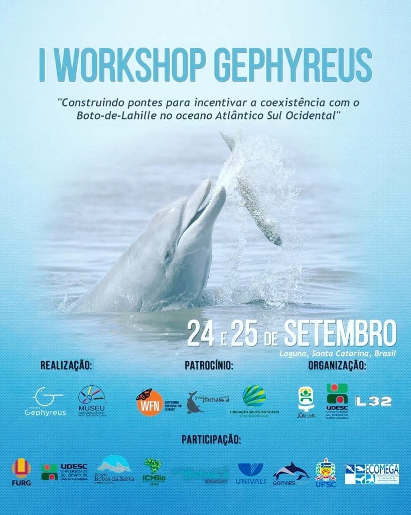 Proyecto Gephyreus activities